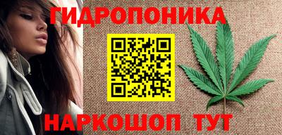 стаф Пенза