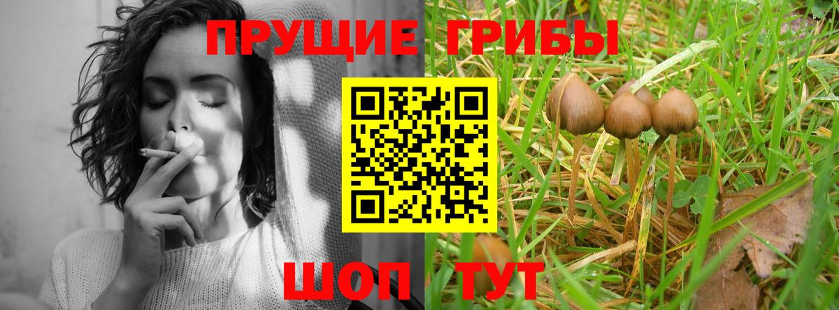 Партизанск  Псилоцибиновые грибы Cubensis  наркотики  Вход с VPN 